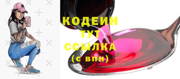 трава Туринск