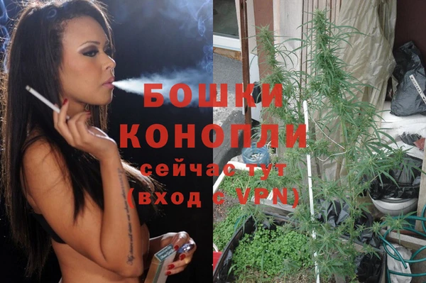 трава Туринск