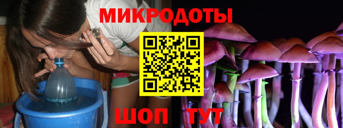 Галлюциногенные грибы Cubensis Алейск